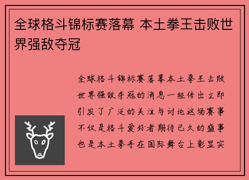 全球格斗锦标赛落幕 本土拳王击败世界强敌夺冠