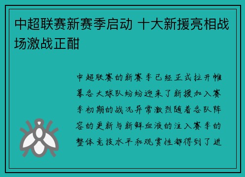 中超联赛新赛季启动 十大新援亮相战场激战正酣
