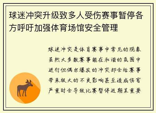 球迷冲突升级致多人受伤赛事暂停各方呼吁加强体育场馆安全管理